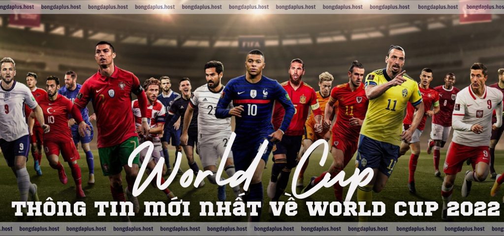 World Cup mấy năm một lần? Thông tin mới nhất về World Cup 2022