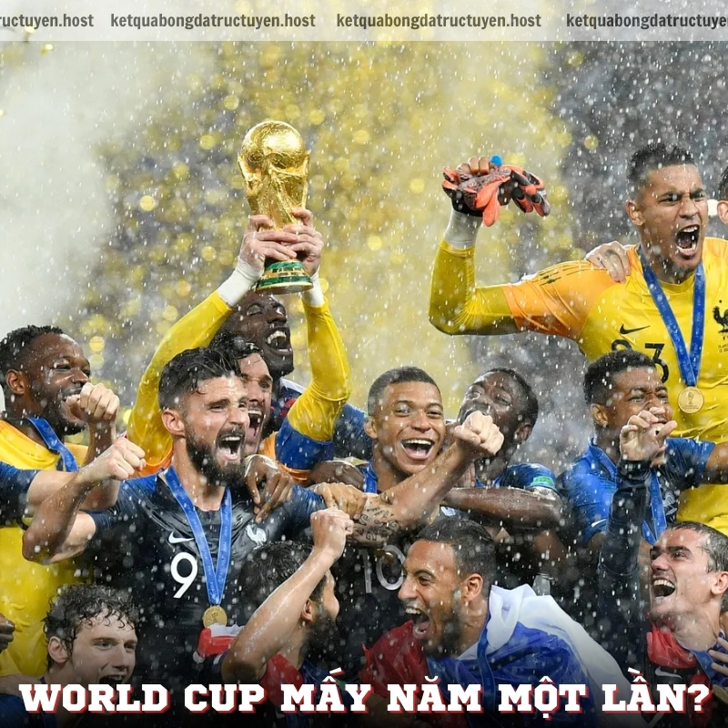 World Cup mấy năm một lần